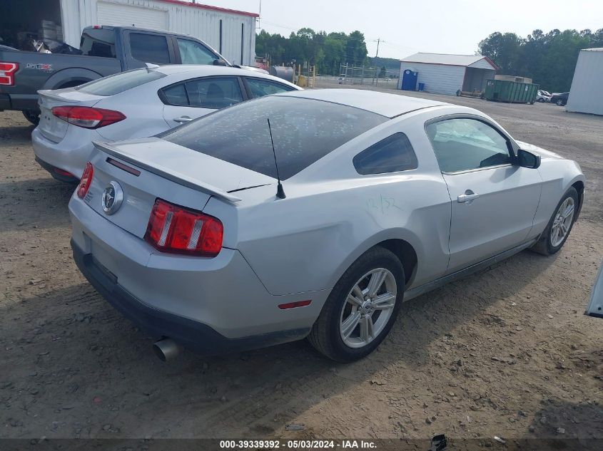 2010 Ford Mustang V6 VIN: 1ZVBP8AN5A5144531 Lot: 39339392