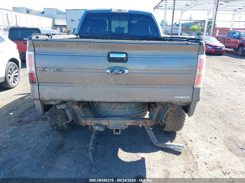 2013 Ford F-150 Xlt VIN: 1FTFX1EF9DFA25748 Lot: 40384382