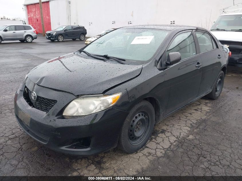 2010 Toyota Corolla VIN: 2T1BU4EE4AC498316 Lot: 39342411