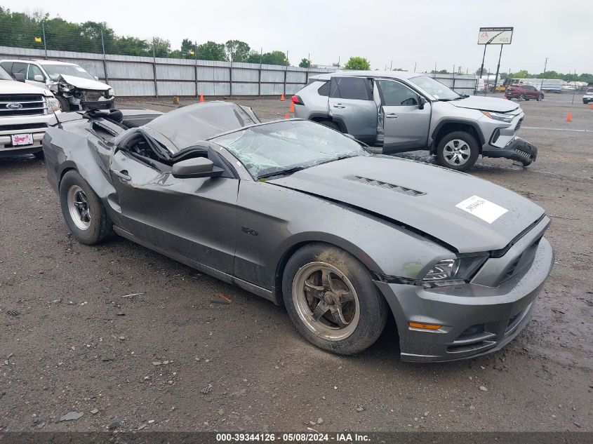 2014 Ford Mustang Gt VIN: 1ZVBP8CF8E5221579 Lot: 39344126