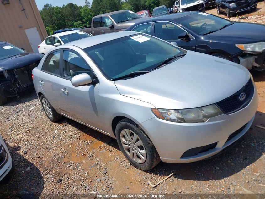 KNAFT4A29A5116243 | 2010 KIA FORTE