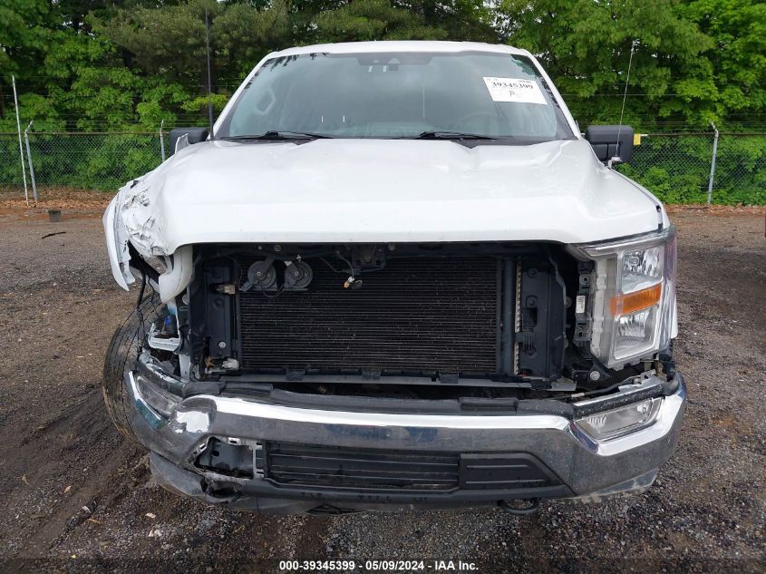 2021 FORD F-150 XLT - 1FTFW1E51MFC65466