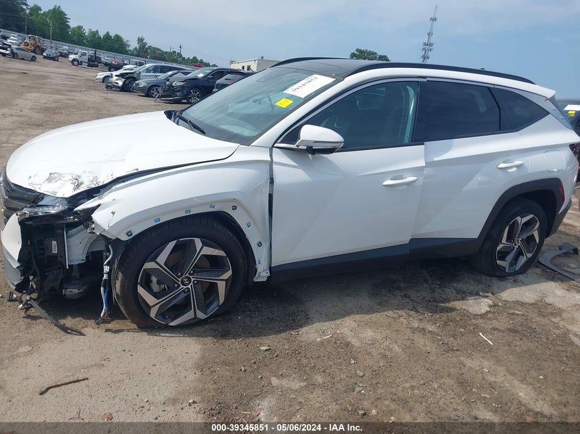2023 HYUNDAI TUCSON LIMITED - 5NMJECAE1PH213941