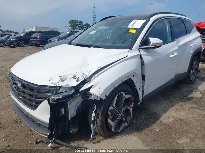 2023 HYUNDAI TUCSON LIMITED - 5NMJECAE1PH213941