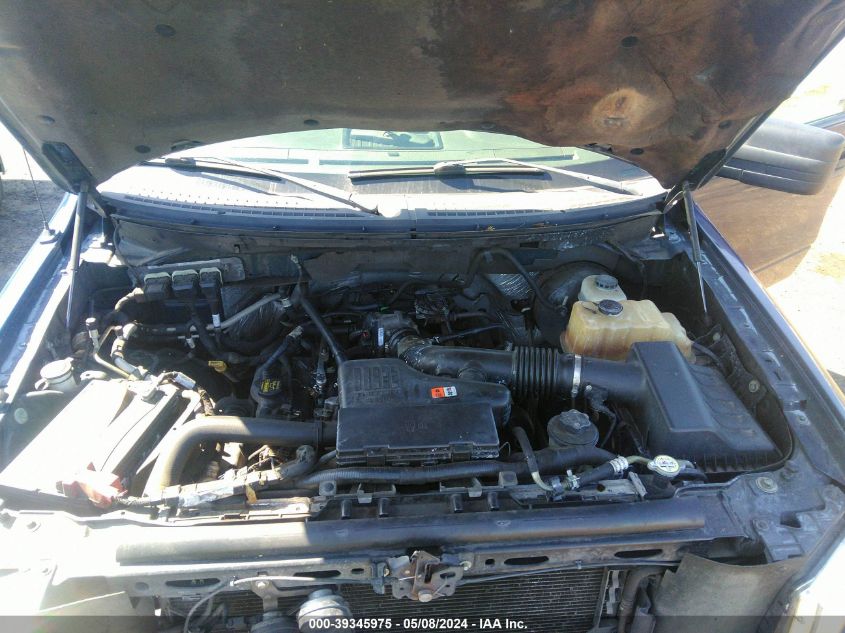 2009 Ford F-150 Stx/Xl/Xlt VIN: 1FTRF12W89KC73461 Lot: 39345975