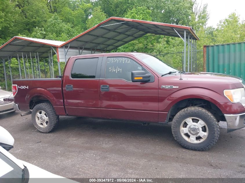 2009 Ford F-150 Fx4/King Ranch/Lariat/Platinum/Xl/Xlt VIN: 1FTPW14V89FB01211 Lot: 39347972