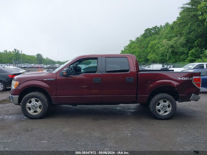 2009 Ford F-150 Fx4/King Ranch/Lariat/Platinum/Xl/Xlt VIN: 1FTPW14V89FB01211 Lot: 39347972