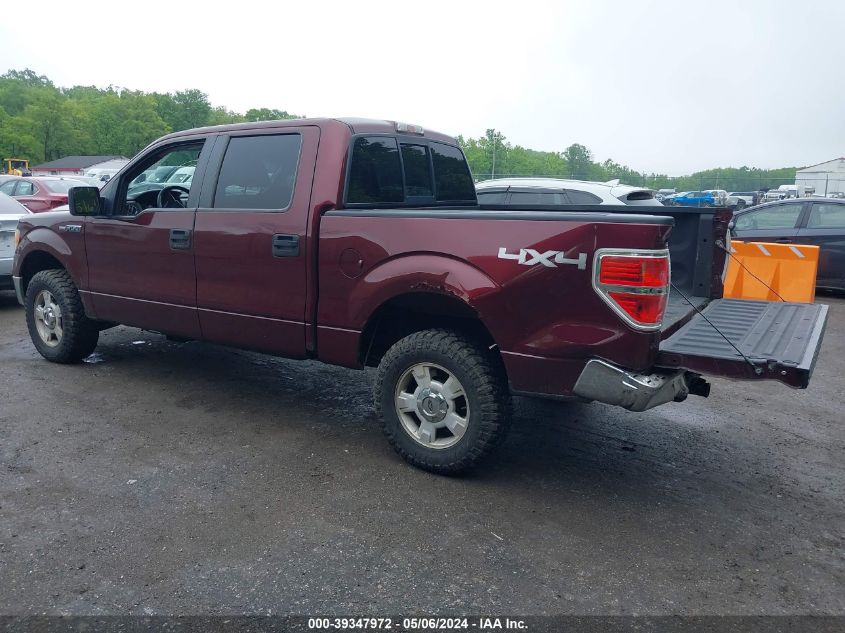 2009 Ford F-150 Fx4/King Ranch/Lariat/Platinum/Xl/Xlt VIN: 1FTPW14V89FB01211 Lot: 39347972