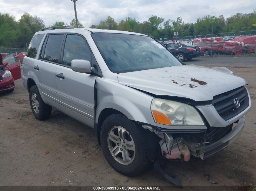 2005 Honda Pilot Ex-L VIN: 5FNYF18695B029134 Lot: 39349913