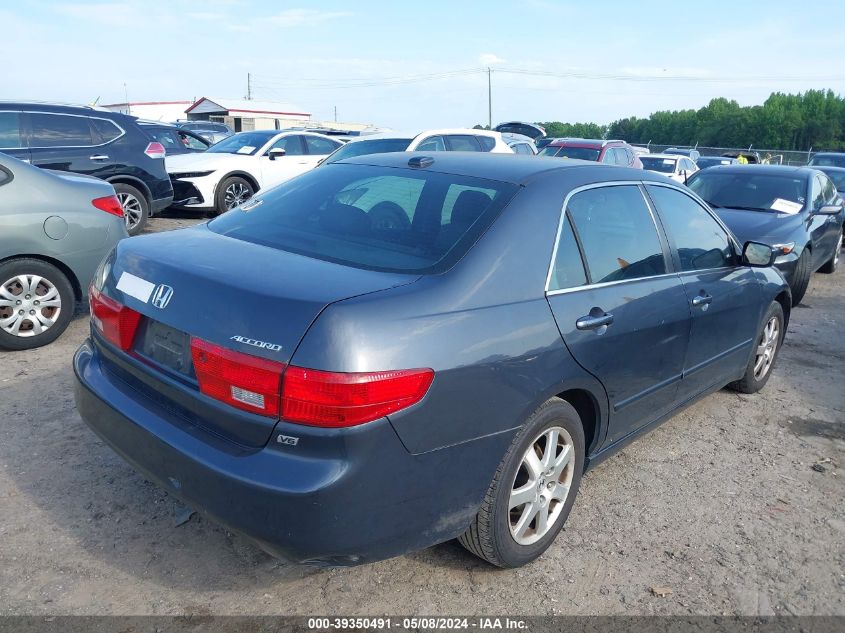 2005 Honda Accord 3.0 Ex VIN: 1HGCM66815A045467 Lot: 39350491