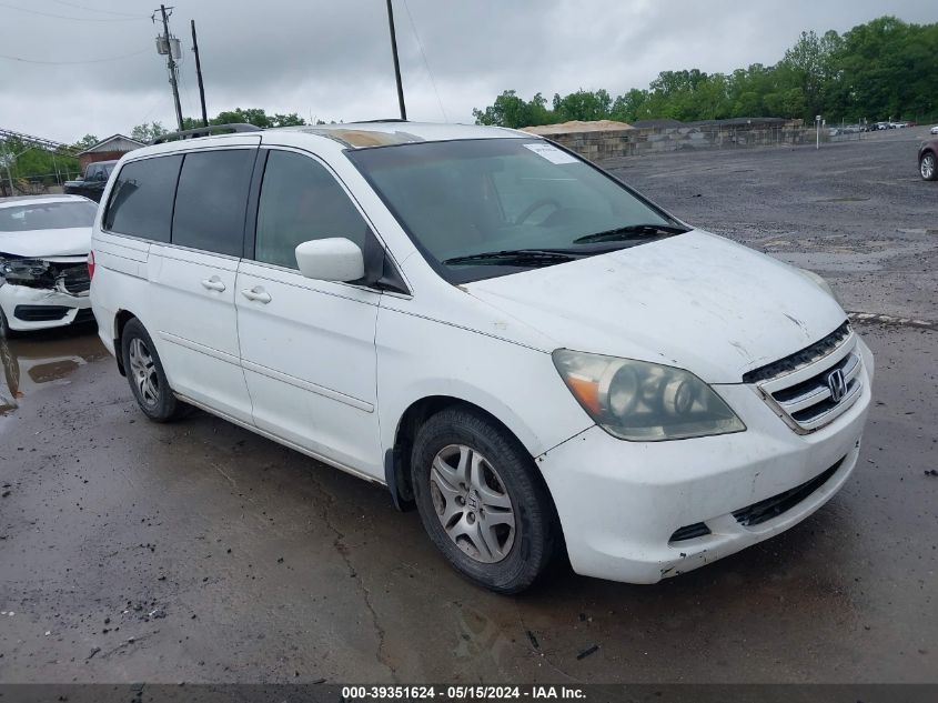 2005 Honda Odyssey Ex VIN: 5FNRL38415B019978 Lot: 39351624