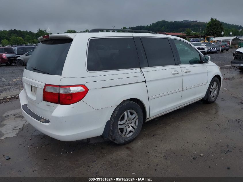 2005 Honda Odyssey Ex VIN: 5FNRL38415B019978 Lot: 39351624