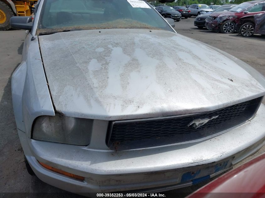 1ZVFT80N355128249 | 2005 FORD MUSTANG