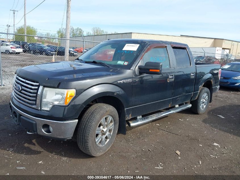 1FTFW1EV9AFB91869 | 2010 FORD F-150