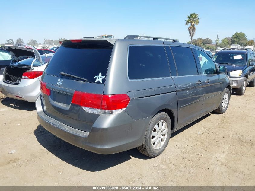 2008 Honda Odyssey Ex-L VIN: 5FNRL38648B111656 Lot: 39356028