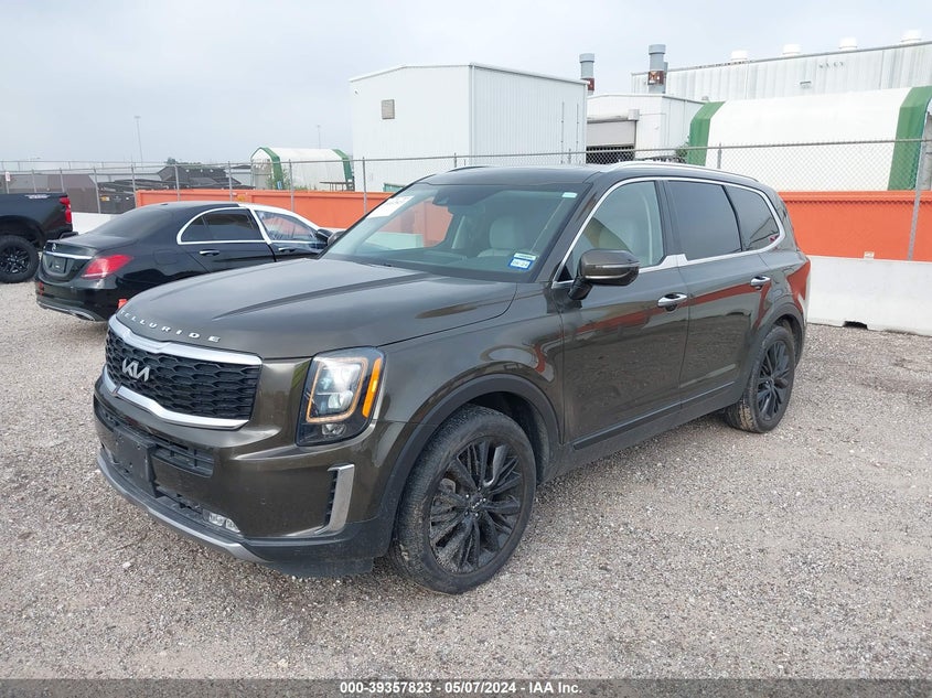 2022 Kia Telluride Sx VIN: 5XYP54HC0NG242066 Lot: 39357823