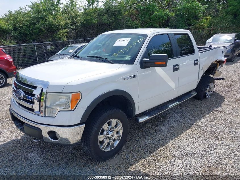 2009 Ford F-150 Fx4/King Ranch/Lariat/Platinum/Xl/Xlt VIN: 1FTPW14V99FB42818 Lot: 39358912