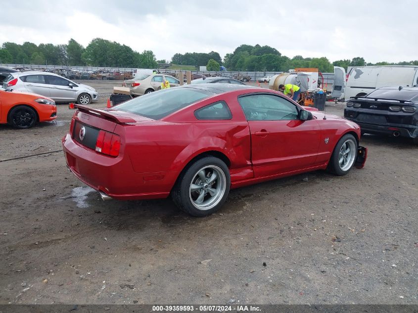 2009 Ford Mustang Gt/Gt Premium VIN: 1ZVHT82H795135534 Lot: 39359593