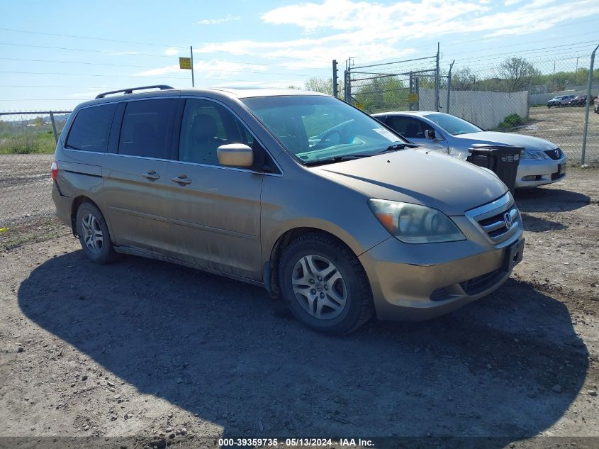 2007 Honda Odyssey Ex-L VIN: 5FNRL38727B427581 Lot: 39359735