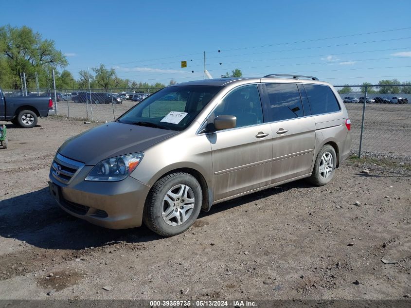 2007 Honda Odyssey Ex-L VIN: 5FNRL38727B427581 Lot: 39359735