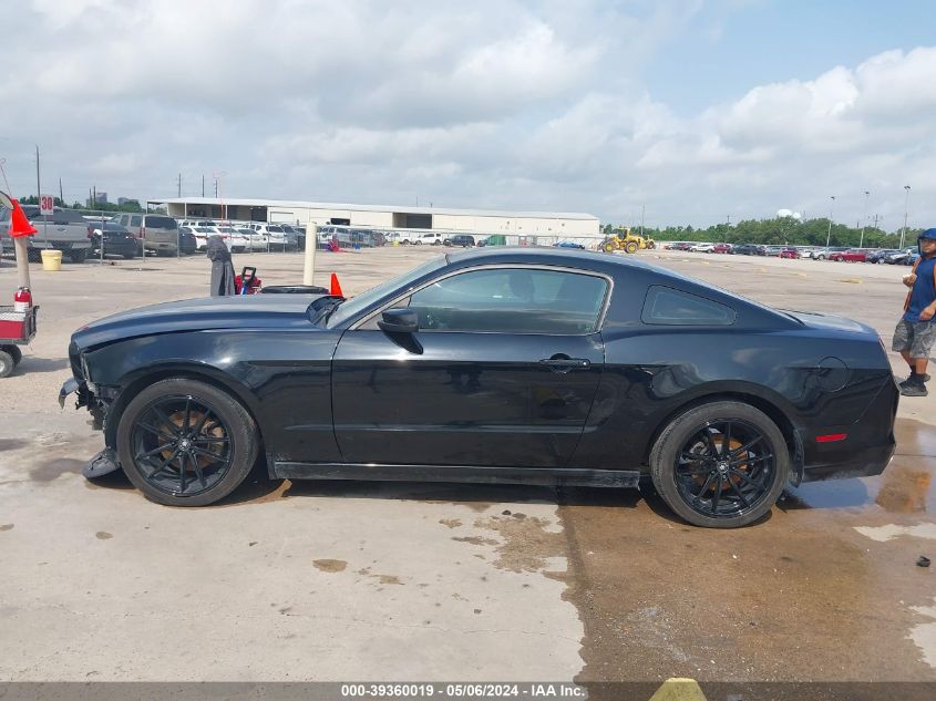 2014 Ford Mustang V6 VIN: 1ZVBP8AM8E5237556 Lot: 39360019