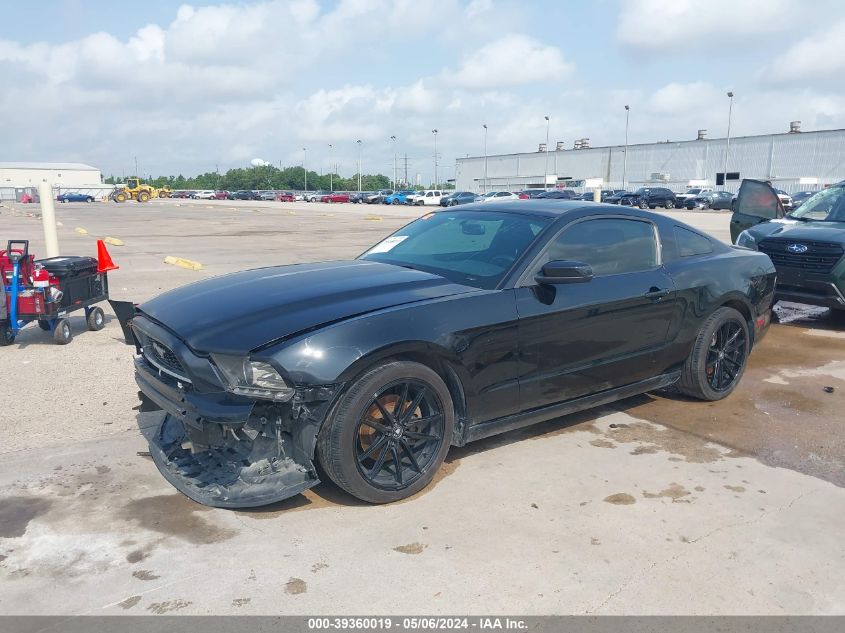 2014 Ford Mustang V6 VIN: 1ZVBP8AM8E5237556 Lot: 39360019