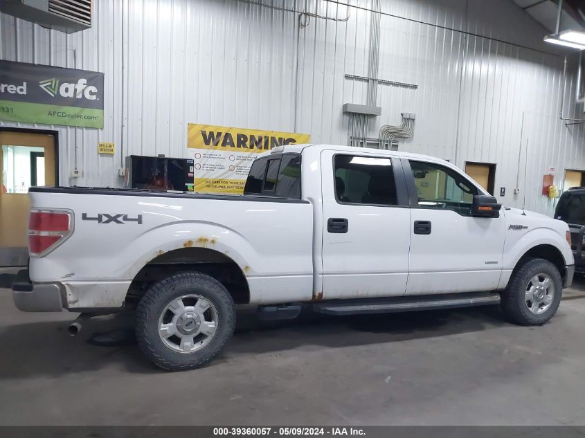 2014 FORD F-150 XLT - 1FTFW1ET7EKD68396