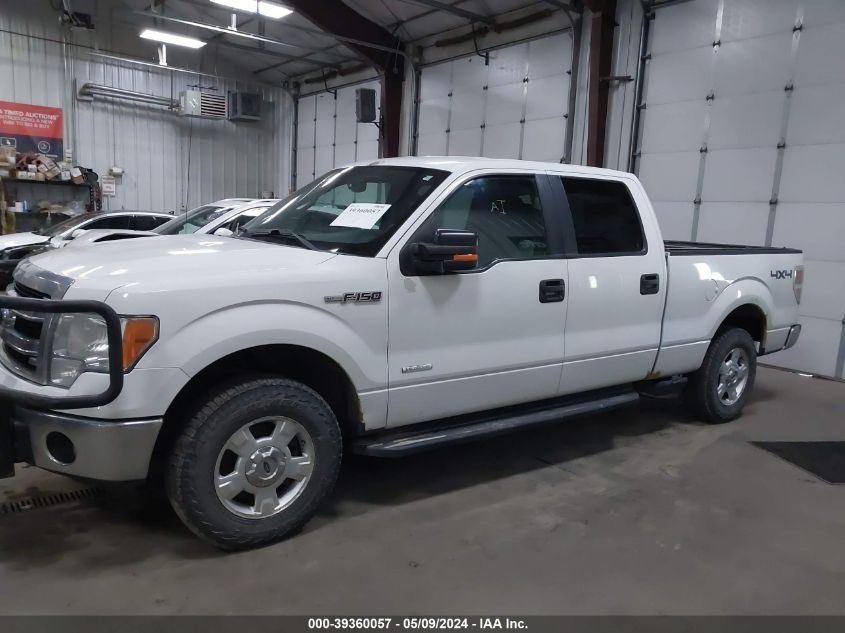 2014 FORD F-150 XLT - 1FTFW1ET7EKD68396