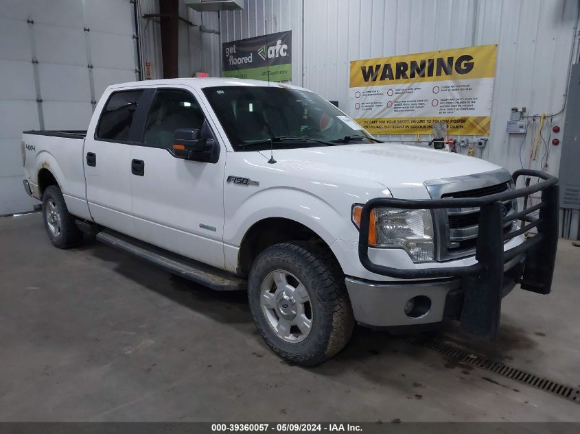 2014 FORD F-150 XLT - 1FTFW1ET7EKD68396