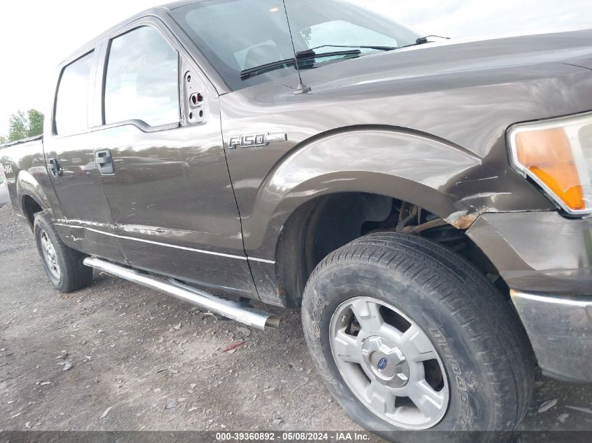 2009 Ford F-150 Xl/Xlt VIN: 1FTRW14819FA23163 Lot: 39360892