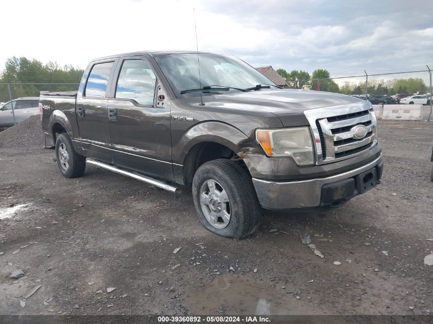 2009 Ford F-150 Xl/Xlt VIN: 1FTRW14819FA23163 Lot: 39360892