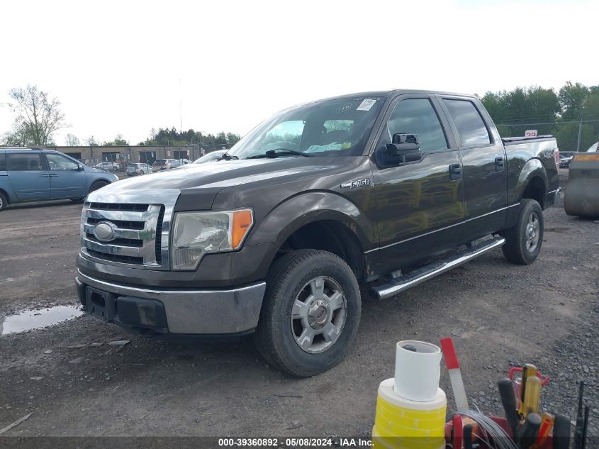 2009 Ford F-150 Xl/Xlt VIN: 1FTRW14819FA23163 Lot: 39360892