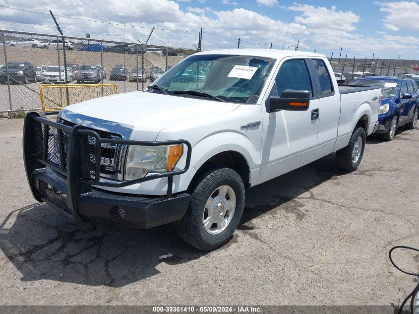 2013 Ford F-150 Xlt VIN: 1FTFX1EF7DFA39759 Lot: 39361410