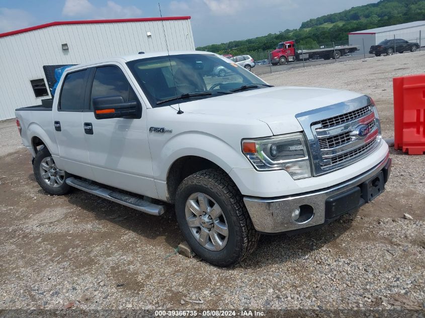 2014 FORD F-150 XLT - 1FTFW1CF2EKD29986