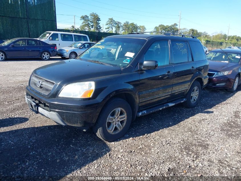 2005 Honda Pilot Ex-L VIN: 5FNYF18515B058117 Lot: 39366948