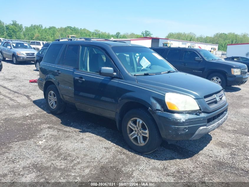 2005 Honda Pilot Ex-L VIN: 5FNYF18545B005122 Lot: 39367031