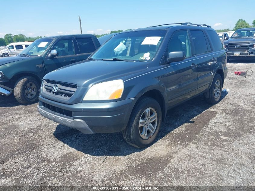 2005 Honda Pilot Ex-L VIN: 5FNYF18545B005122 Lot: 39367031