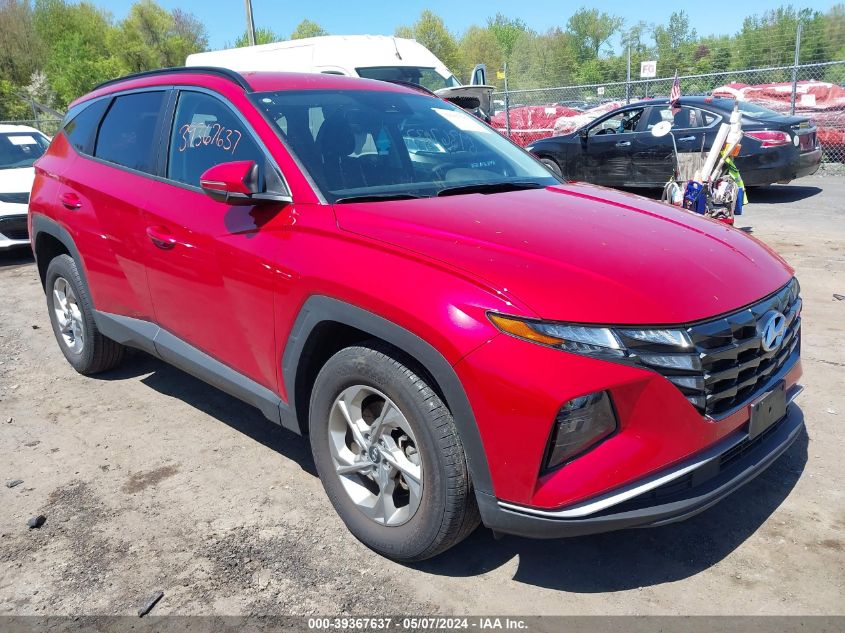 2023 Hyundai Tucson Sel VIN: 5NMJBCAEXPH186750 Lot: 39367637