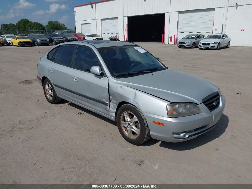 2004 Hyundai Elantra Gt VIN: KMHDN56D34U110304 Lot: 39367789