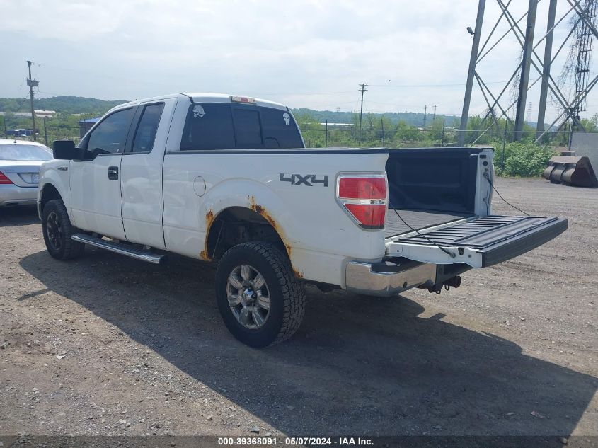 2010 Ford F-150 Fx4/Lariat/Xl/Xlt VIN: 1FTFX1EV2AFB74120 Lot: 39368091