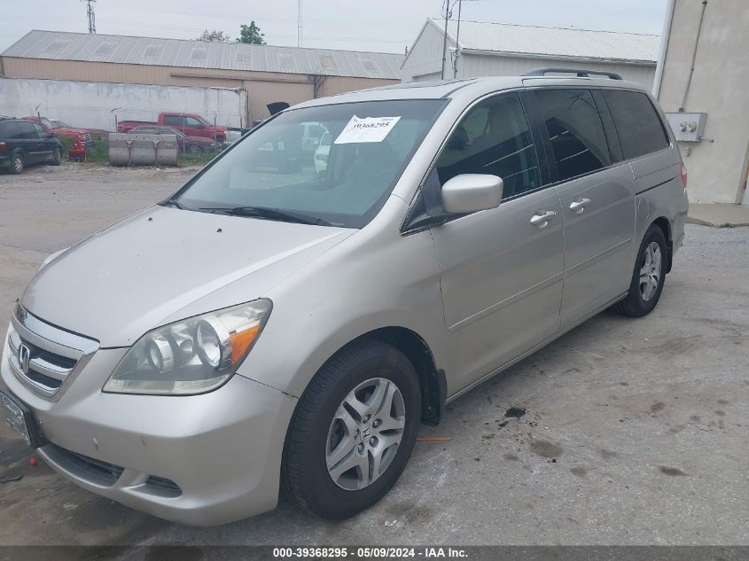 2007 Honda Odyssey Ex-L VIN: 5FNRL38677B410184 Lot: 39368295