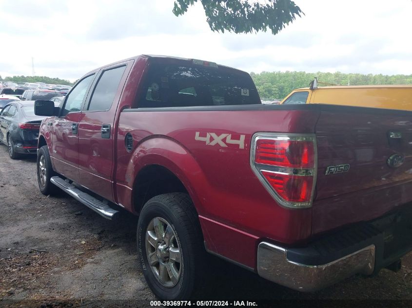 1FTFW1ET2DFA98100 | 2013 FORD F-150