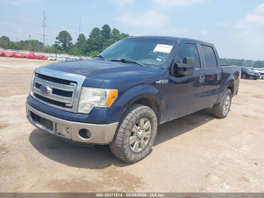 2013 Ford F-150 Xlt VIN: 1FTEW1CM3DKE21813 Lot: 39371814