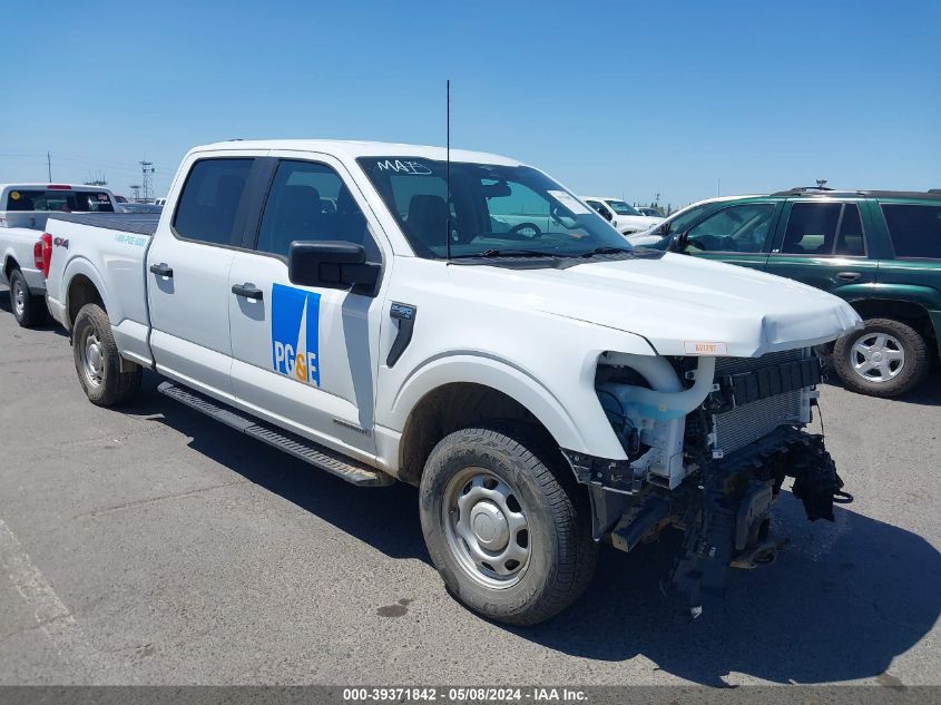 2023 FORD F-150 XL - 1FTFW1ED4PFA39854