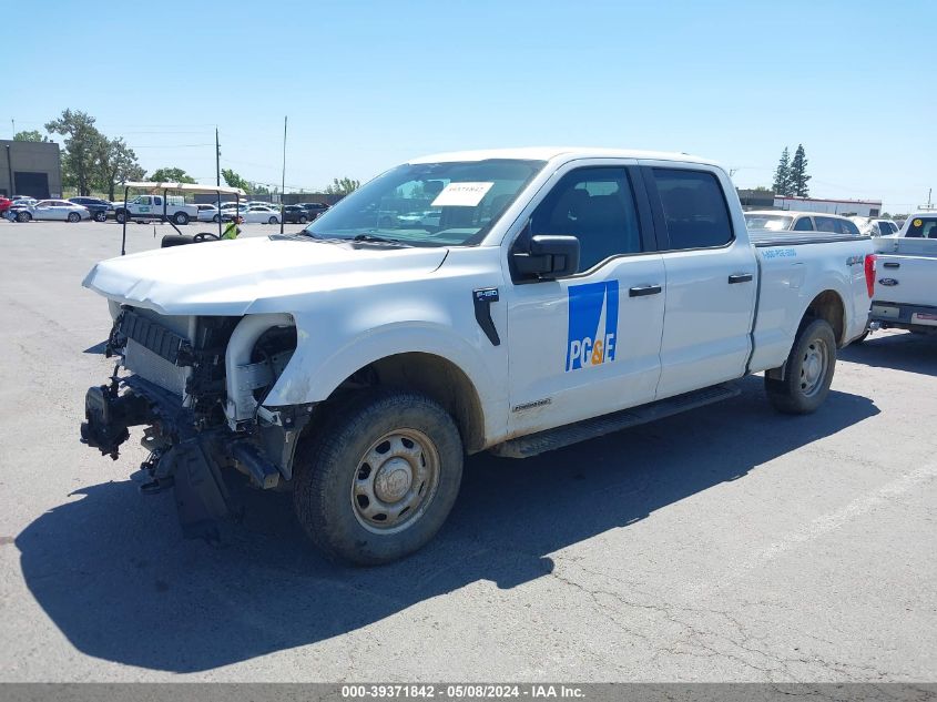 2023 Ford F-150 Xl VIN: 1FTFW1ED4PFA39854 Lot: 39371842