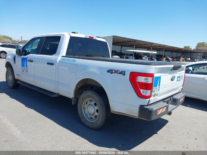 2023 Ford F-150 Xl VIN: 1FTFW1ED4PFA39854 Lot: 39371842