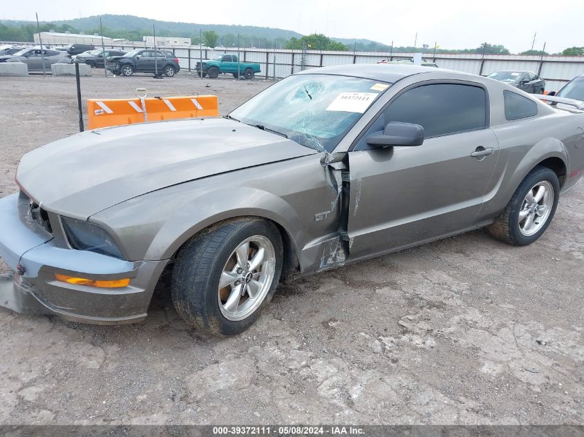 2005 Ford Mustang Gt Deluxe/Gt Premium VIN: 1ZVHT82H255169357 Lot: 39372111