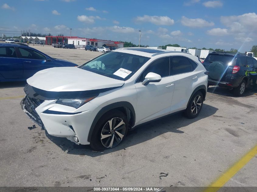 2021 Lexus Nx 300 VIN: JTJGARBZ0M5024557 Lot: 39373044