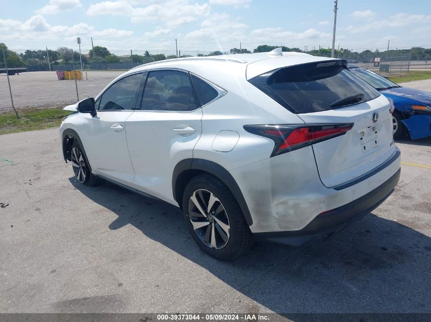 2021 Lexus Nx 300 VIN: JTJGARBZ0M5024557 Lot: 39373044