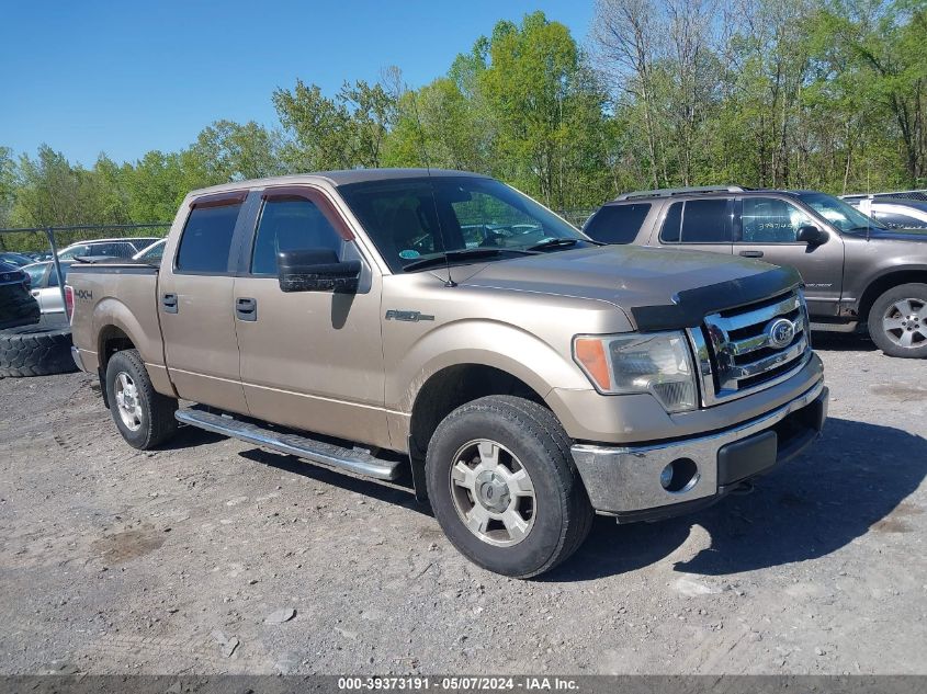 1FTFW1EF8BFA46669 | 2011 FORD F-150